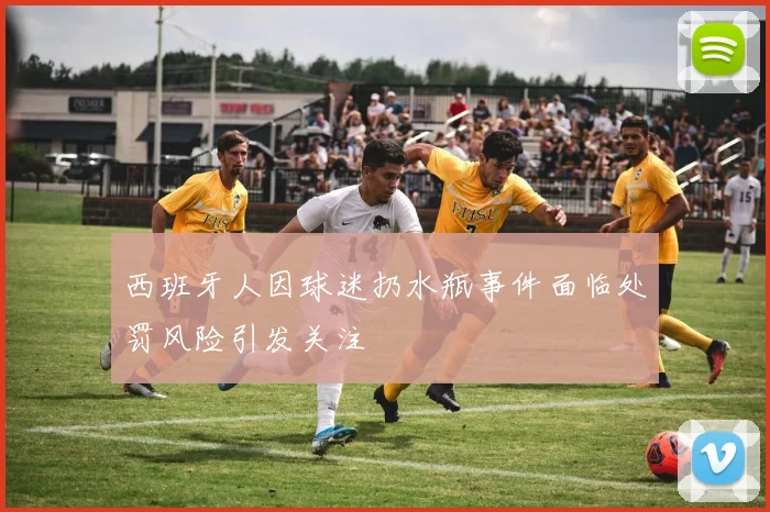 西班牙人因球迷扔水瓶事件面临处罚风险引发关注