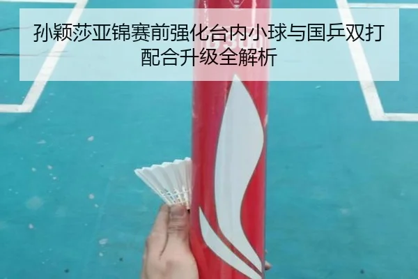 孙颖莎亚锦赛前强化台内小球与国乒双打配合升级全解析（hth）